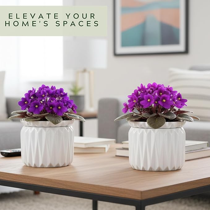 6 Inch African Violet Pots Self Watering, Ceramic Planter - Image 6
