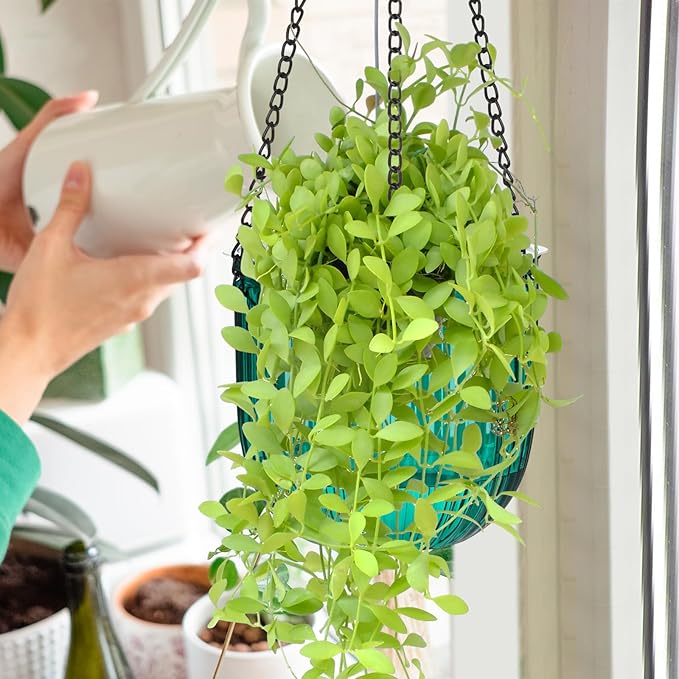 Maxcheck 4 Pcs Self Watering Hanging Planters Indoor Gift 6.5'' 4.5'' Hanging - Image 7