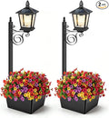 2-Pack Solar Lamp Post Light by TOWPONICS
