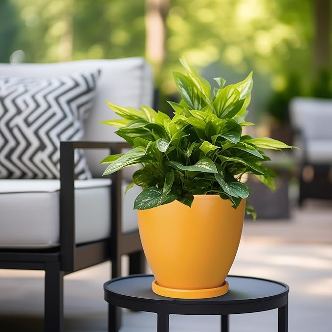 Ceramic Plant Pot - Image 5