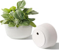 T4U 8 Inch Self Watering Pots for Indoor Plants, 2 Pack Plant Pots, Durable by T4U
