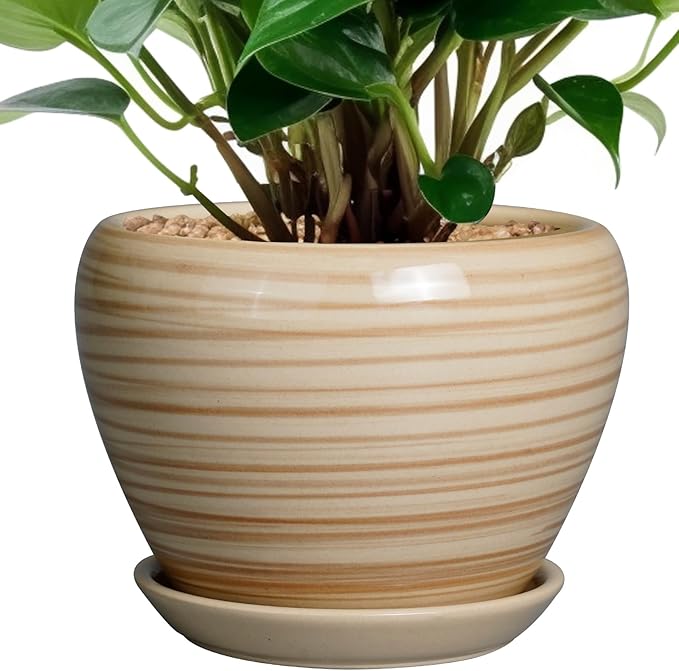 6 Inch Plant Pot Ceramic by Ceramicfor