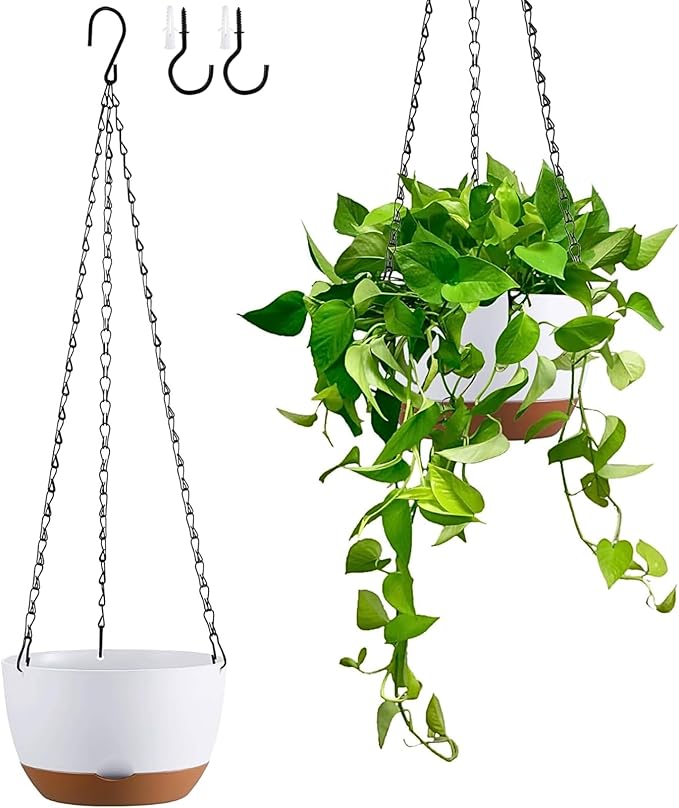 Hanging Planters for Indoor Plants by Unknown