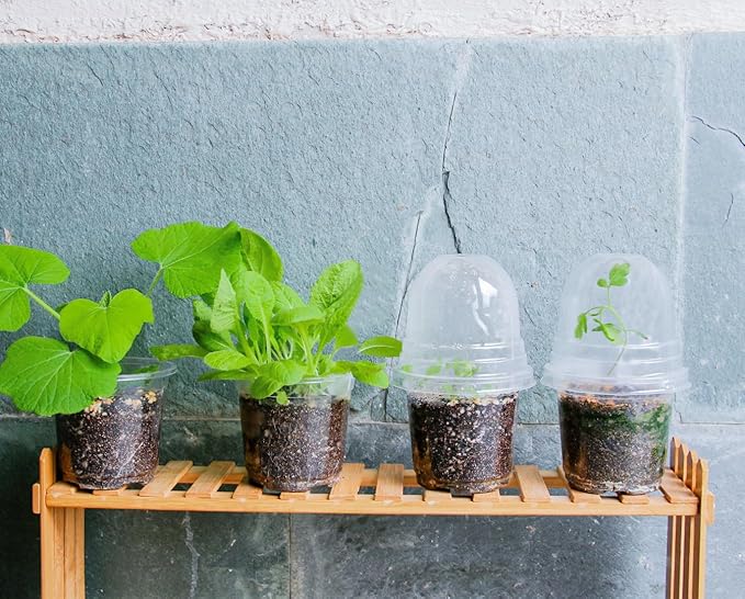 30 Packs 4 Inch Reinforced Clear Nursery Pots - Image 9