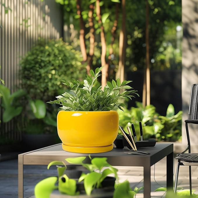 SQOWL 10 Inch Plant Pot - Image 5