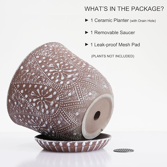 Gepege 8 Inch Plant Pot for Plants, Ceramic Planter - Image 3