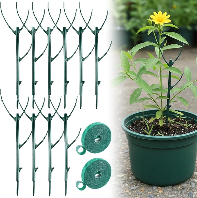 Grevosea 10 Pack Plant Support Stakes, Stackable Monstera Plant Supports by Unknown