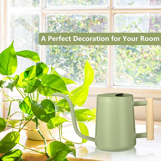 Watering Can Indoor Plants, 35oz Small Indoor Stainless Steel Metal Watering - Image 3