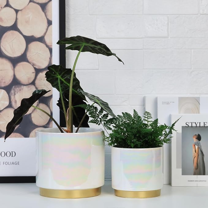 Gepege White Indoor Plant Pots for Plants, Ceramic Planter - Image 3