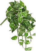 Hollyone Artificial Pothos Hanging Plants 25" Fake Ivy Vine Faux Ivy Pothos by Hollyone