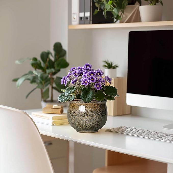 Self Watering Planters for Indoor Plants, 6 Inch Ceramic African Violet Pots - Image 3