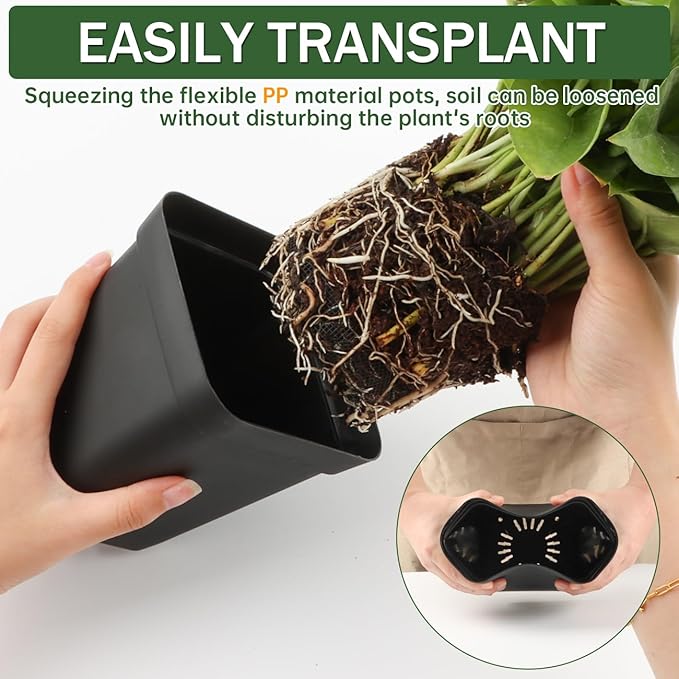 BTPLASTIK Square Nursery Pots 5.5 Inch, Garden Flower Planters - Image 4