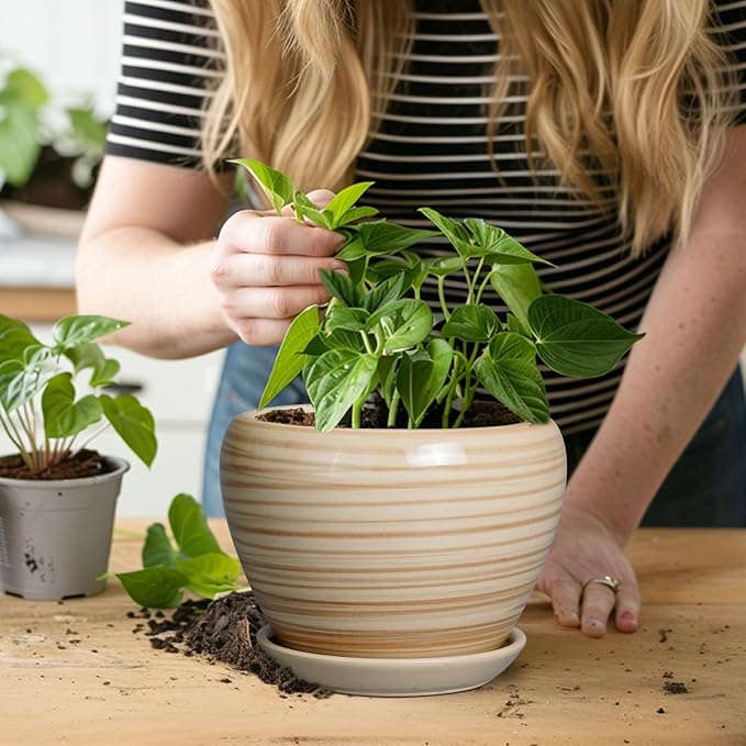6 Inch Plant Pot Ceramic - Image 4
