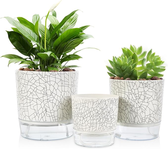 Self Watering Pots for Indoor Plants, 6 & 5 & 4 Inch Stylish Flower Pots by Etvski