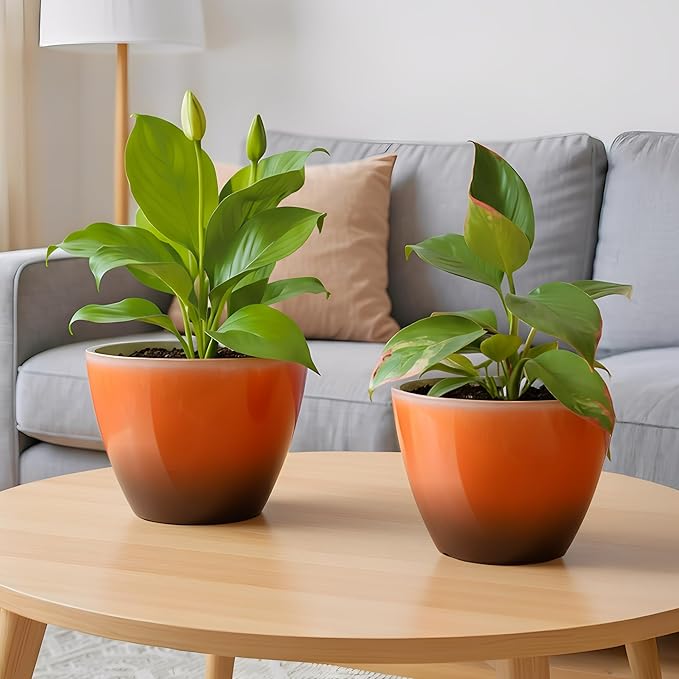 2 Pack Plastic Plant Pots with Drainage Holes, 8 inch Planter - Image 5