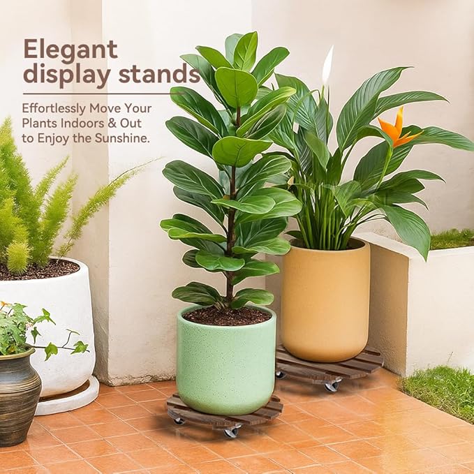 2 Pack Plant Stand Indoor and Outdoor, 12IN Premium Wooden Plant Caddy - Image 6