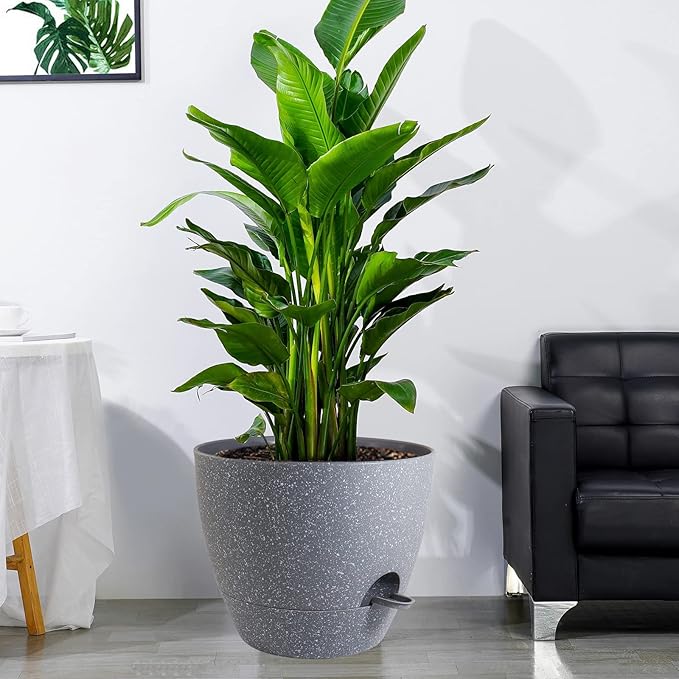 12 inch Large Self Watering Pots, Plastic Planters - Image 6