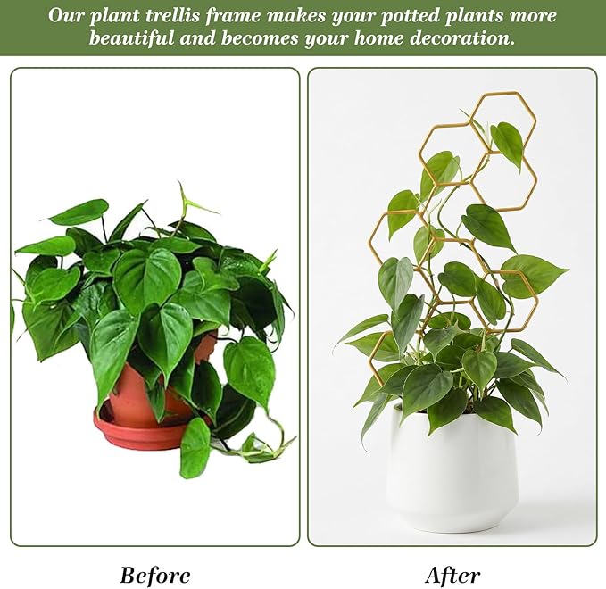 Small Trellis for Potted Plants, 14 Inch Indoor Trellis for Climbing Plants - Image 7