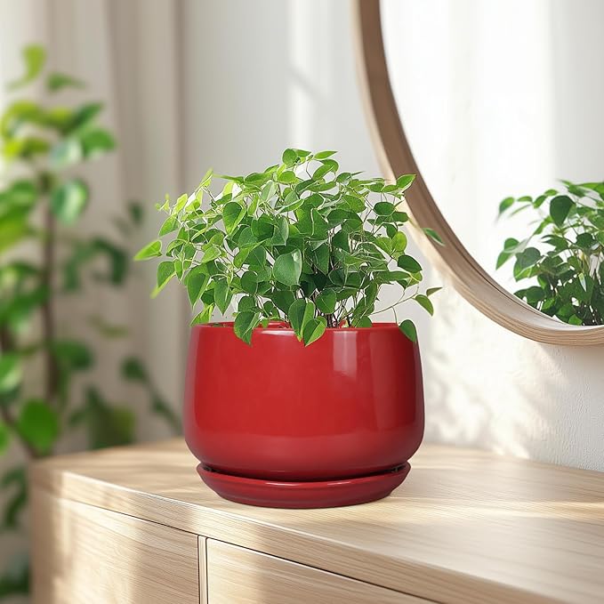 G EPGardening Ceramic Planter 7 Inch - Image 6