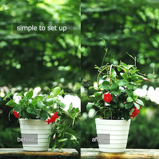 Plant Trellis Indoor 16in, Loop-Shaped Bamboo Trellis - Image 6