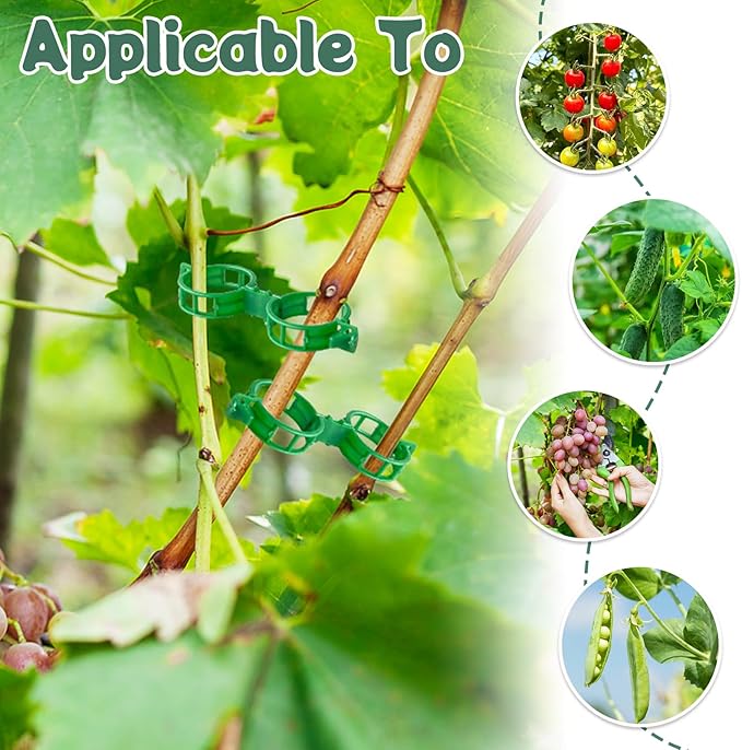 OJYUDD 200 Pcs Plant Support Clips, Plastic Plant Clips - Image 5