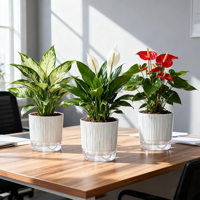 3 Pack Self Watering Pots Set, 5.5 Inch Self Watering Pots - Image 7