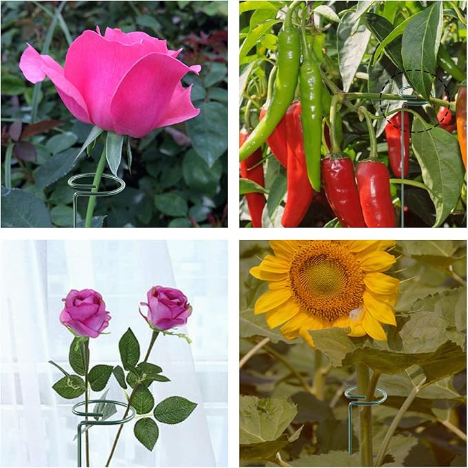 HiGift 10 Pack 36 Inch Plant Support Stake - Image 5