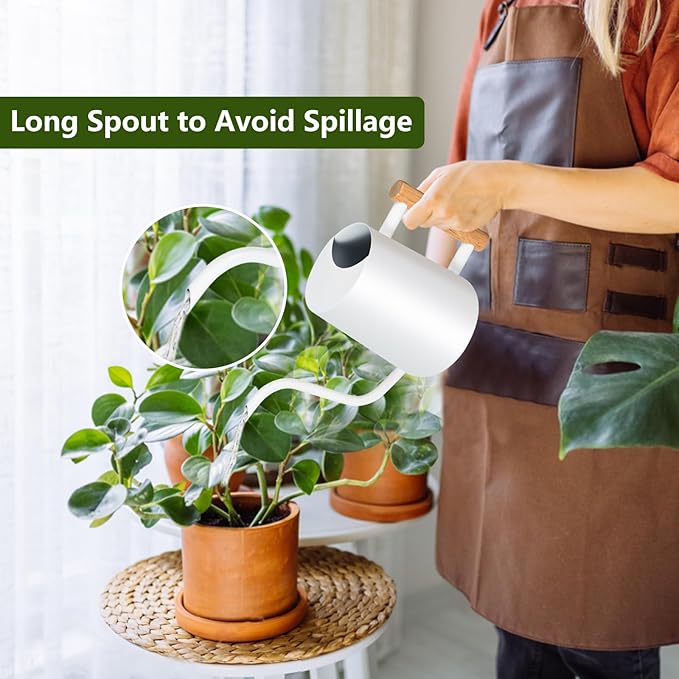 Watering Can Indoor Plants, 35oz Small Stainless Steel Metal Watering Can - Image 2