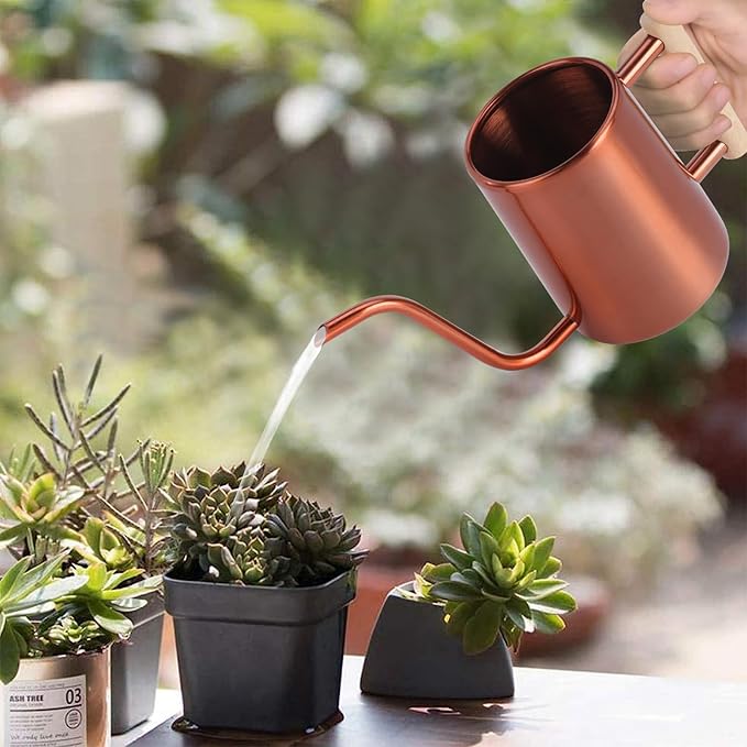 Watering Can Indoor Plants, 35 oz/1000 ml Metal Stainless Steel Watering Can Pot - Image 2