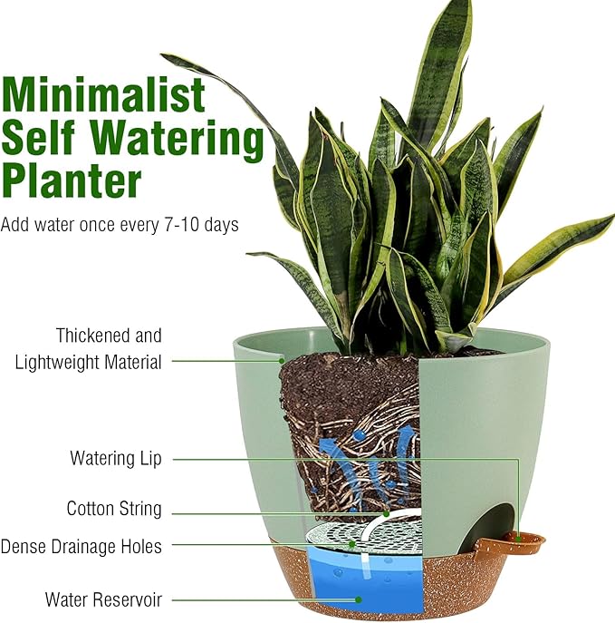 10/9/8 inch Self Watering Pots - Image 4