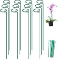 FEED GARDEN 36 Inch 12 Pack Plant Support Stakes, Metal Garden Flower Stakes by FEEDGARDEN