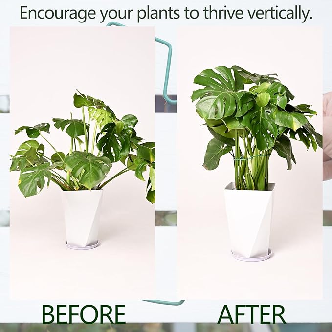 5PCS Monstera Plant Support Stem 9 x 7.6 in- Durable Stabilizer Set - Image 3