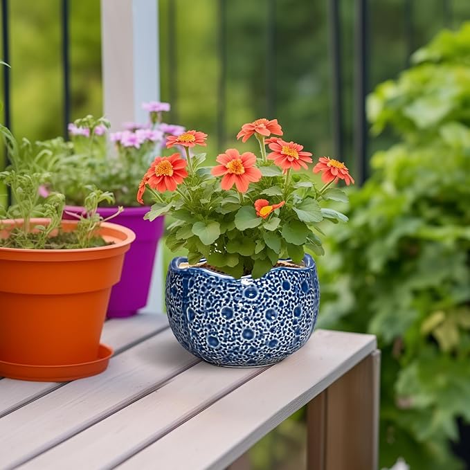Orchid Pot - 6 Inch Ceramic Plant Pot - Image 4