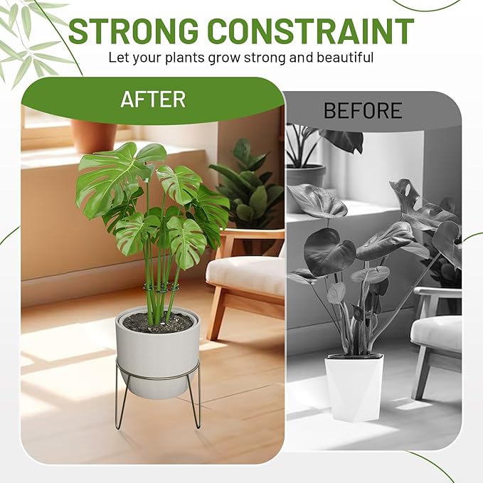 4PCS Green Iron Monstera Support, Uniquely Designed Plant Support Stakes - Image 3