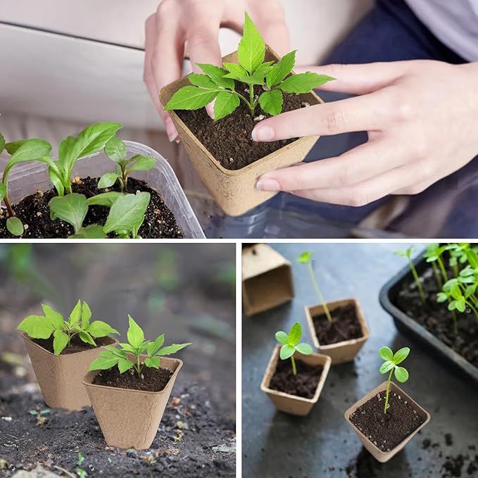 Square Peat Nursery Pots 150 Pcs 3in Biodegradable and Label, Used - Image 5