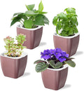 4 Pack Self Watering Pots 4-inch Decorative Flower Planters by Oliz
