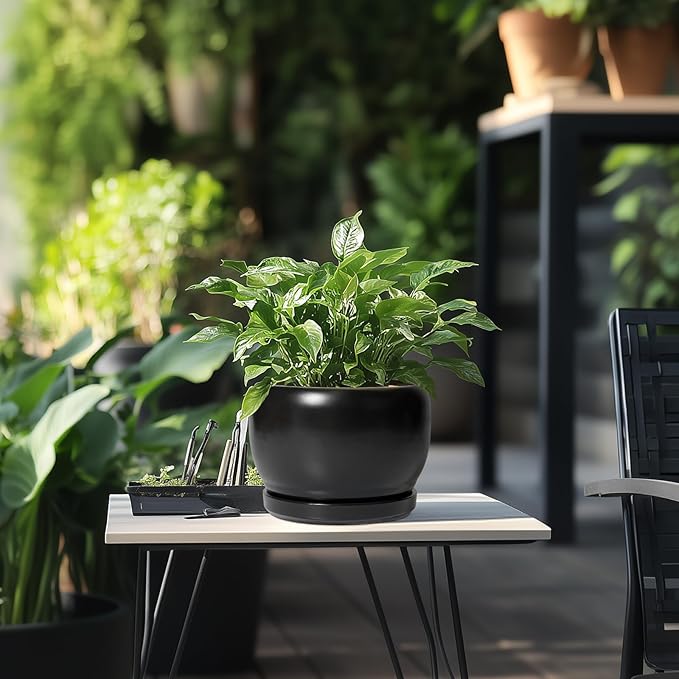 SQOWL Ceramic Plant Pots - Image 5