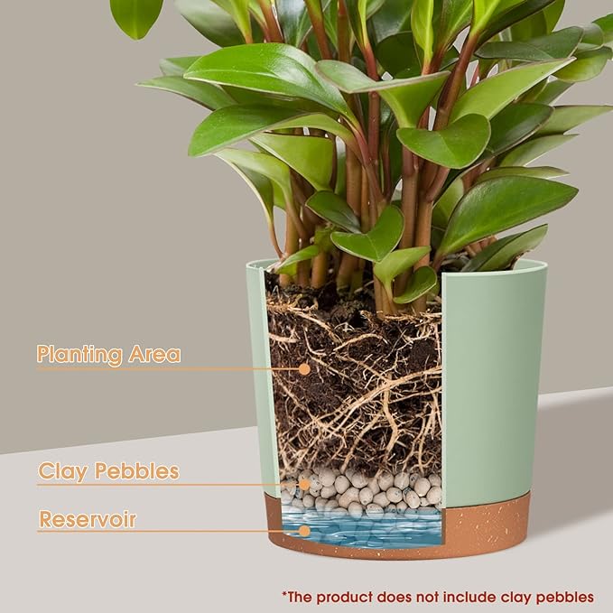 kubvici Indoor Plant Pots Set of 2 Planters 8 inch Plastic Planter - Image 4