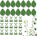 100 Pcs Plant Climbing Wall Fixture Clips Self-Adhesive Hook Vines Traction by LUCKJUJU