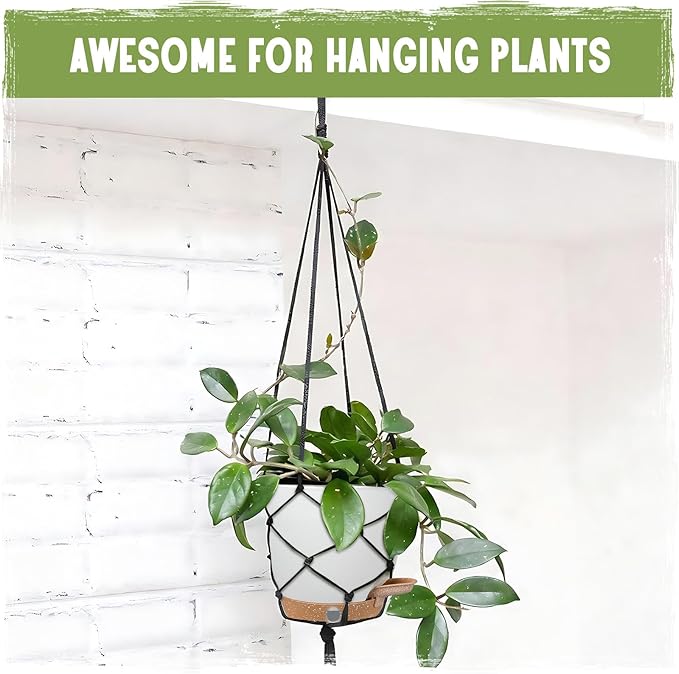 Self-Watering Pots for Indoor Plants 4 Pack, 6/8/10/12 Inch Outdoor Planters - Image 8