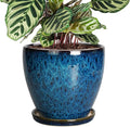 8 Inch Ceramic Planter Pot by EPFamily