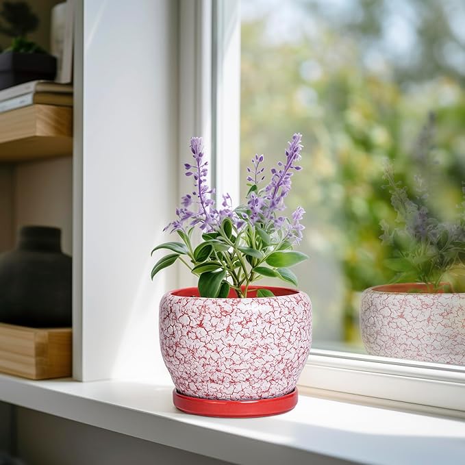 SQOWL 6 Inch Plant Pot - Image 2