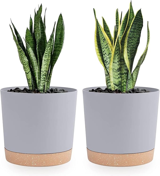QCQHDU 8 inch Plant Pot, 2 Pack Planters by QCQHDU