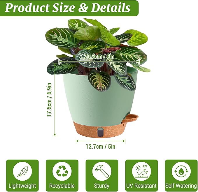 2 Pack 8 Inch Pots for Plants Indoor, Plastic Self Watering Planters - Image 3