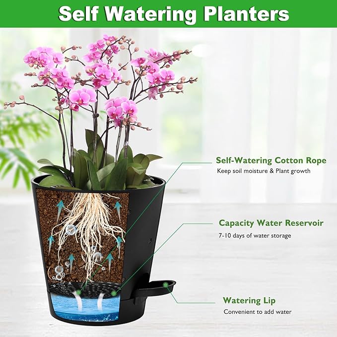 Orchid Pots with Holes, 6 Inch Self Watering Orchid Pot 2 Pack Plastic Plant - Image 3
