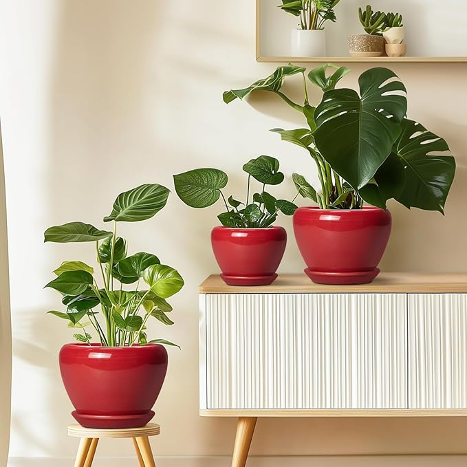 10 Inch Plant Pot - Image 8