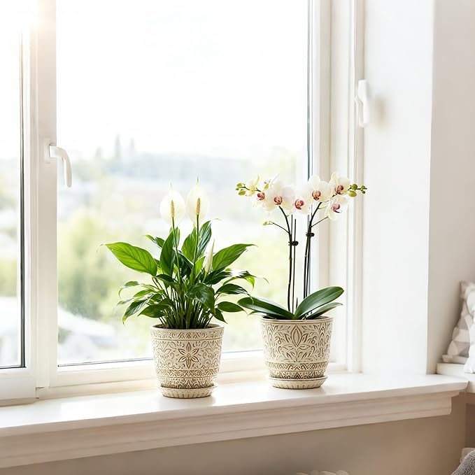 Gepege 6 Inch White Ceramic Planter, Plant Pot - Image 5