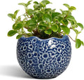 4 inch Plant Pots by Thirtypot