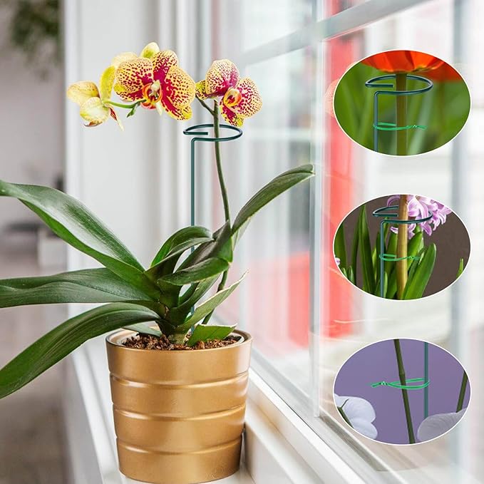 6PCS Single Stem Plant Support Stakes, 16 Inch Monstera Plant Support - Image 5