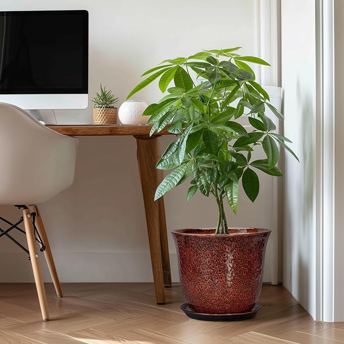Ceramic Pots for Plants - Image 3